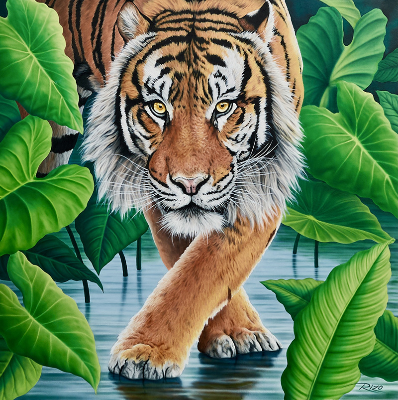 Tiger