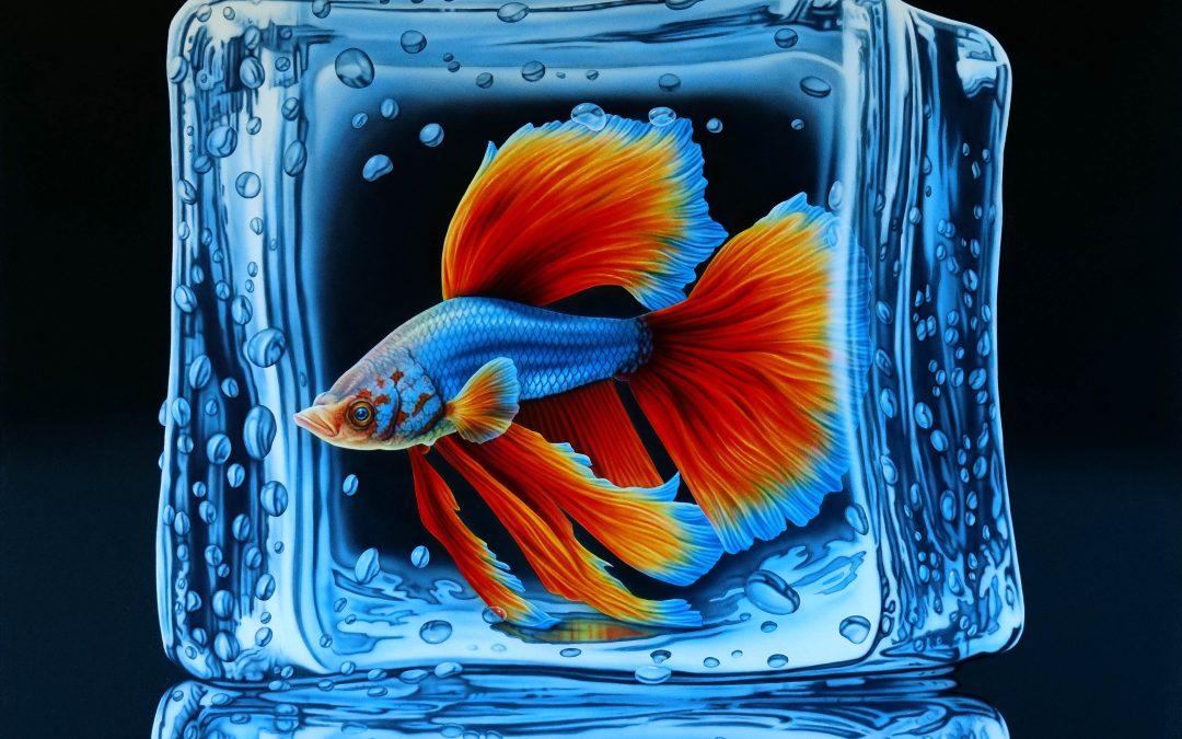 Fish V