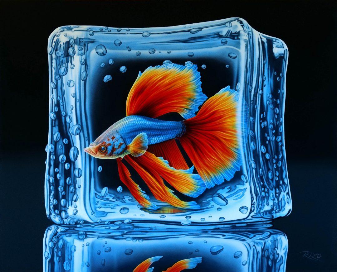 Fish V