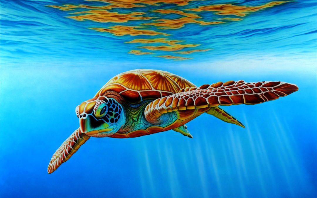 Turtle