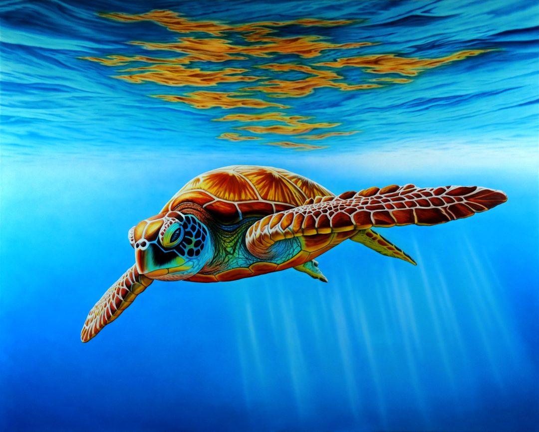 Turtle