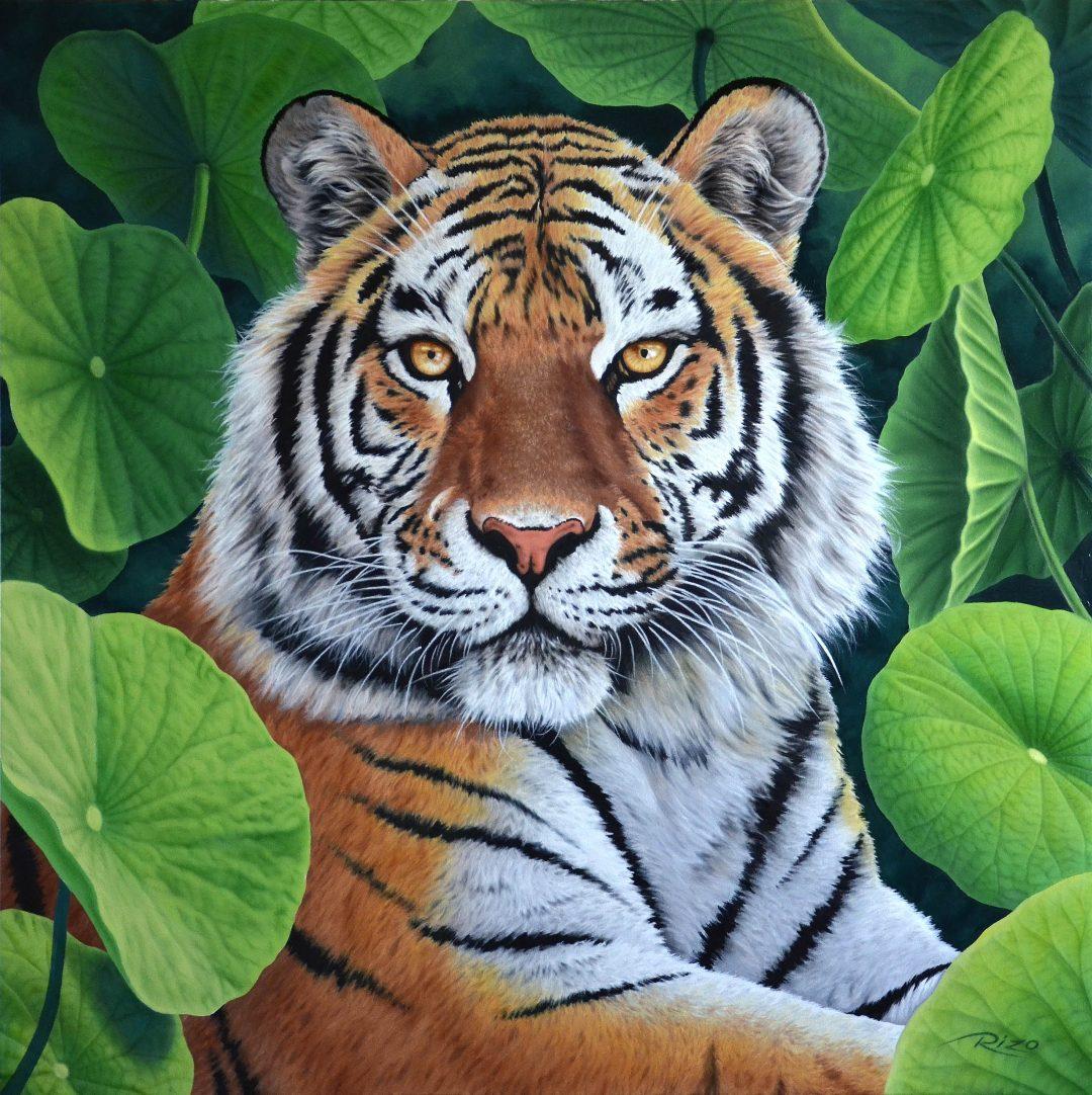 Tiger (I)